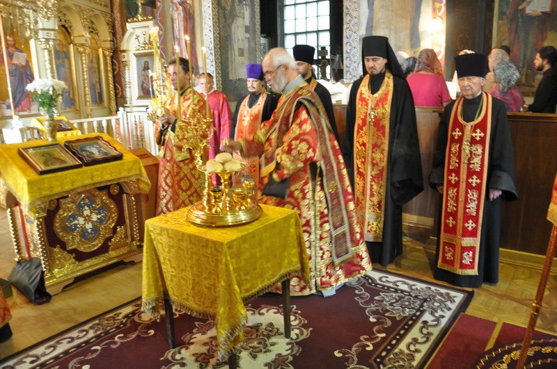 DSC_0021_новый размер