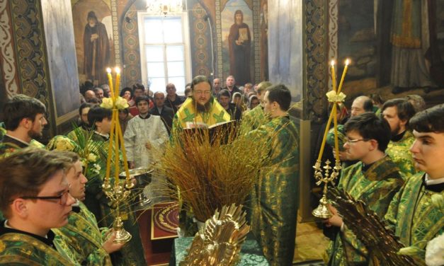 Архієпископ Боярський Феодосій звершив святкове богослужіння в День Святої Трійці